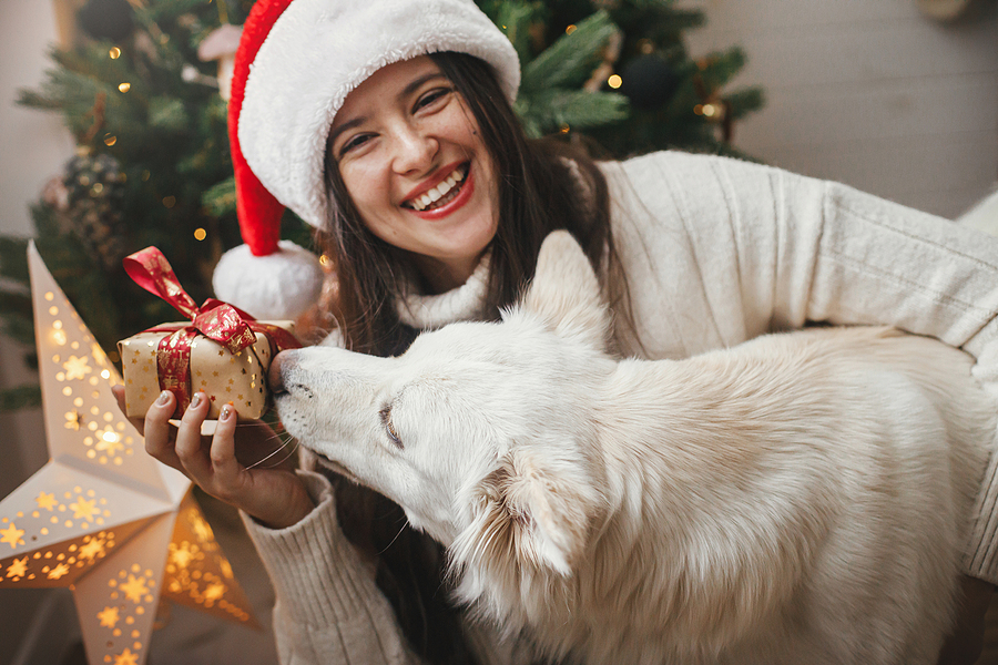 Why is it Essential to Visit Your Dentist in December?